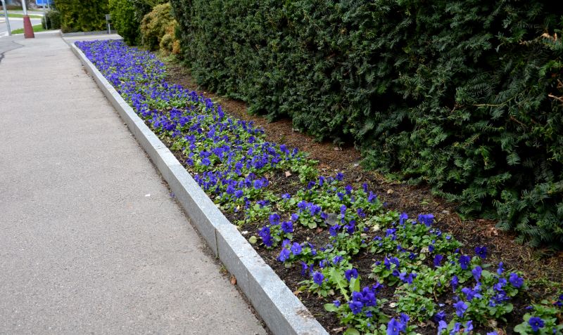 Flowerbed Curbing Installation in Honolulu, HI