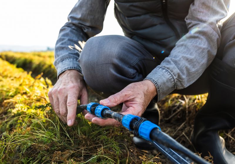 Fountain Pump Replacement